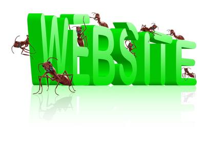 成都企業(yè)怎樣做網(wǎng)站建設(shè)