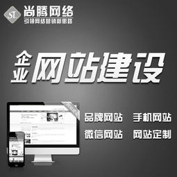營銷型網(wǎng)站建設(shè)對于企業(yè)的重要性