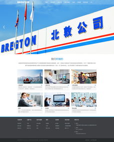 天津北敦公司 神州互動網(wǎng)站建設案例