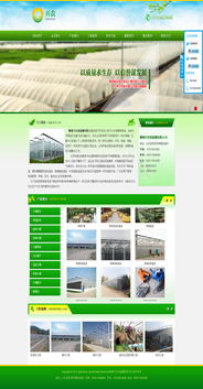 企業(yè)展示型 北京網(wǎng)站建設 網(wǎng)站設計 網(wǎng)站制作 網(wǎng)站建設公司,響應式網(wǎng)站制作 010 62924675