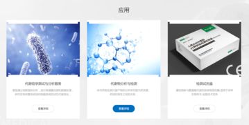 深圳市繪云生物科技中英文網(wǎng)站建設(shè)項目