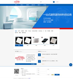 安建世紀(jì)集團(tuán)網(wǎng)站建設(shè)項目