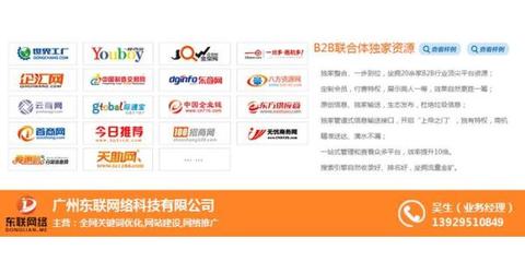 廣州網(wǎng)站排名推廣、東聯(lián)網(wǎng)絡(luò)、推廣