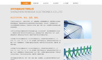 瑞嘉達(dá) 沙漠風(fēng) 深圳網(wǎng)站建設(shè) 沙漠風(fēng)網(wǎng)站建設(shè)公司