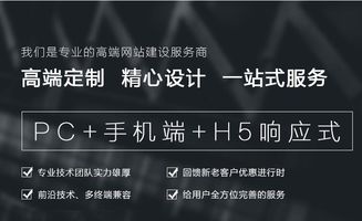 企業(yè)做網(wǎng)站建設公司網(wǎng)站制作網(wǎng)頁設計開發(fā)定制外貿(mào)仿站一條龍全包